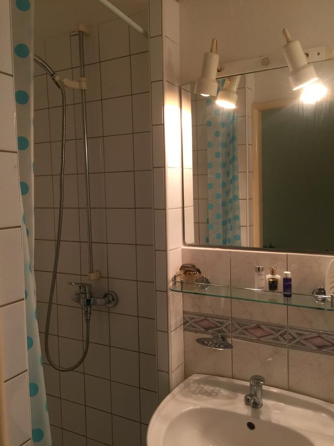 Hotel Dvorak Chrast Экстерьер фото